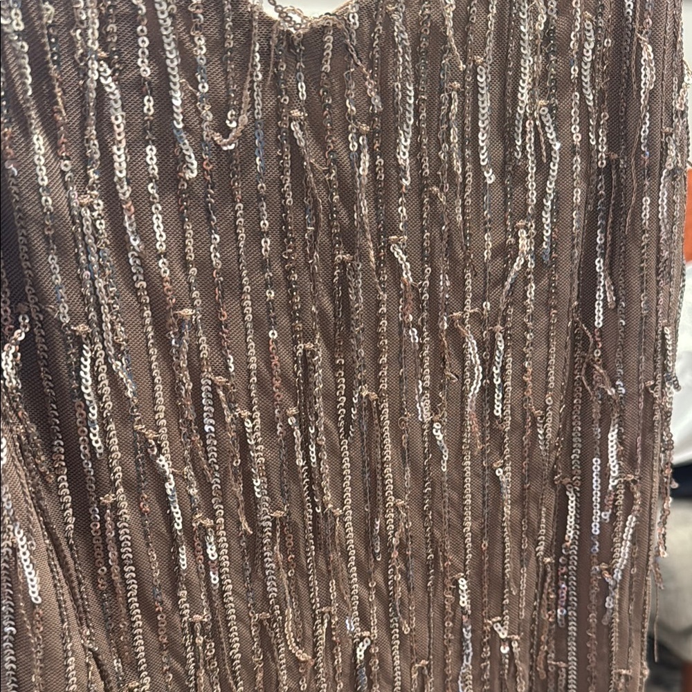 Elegant Brown Sequin Dress - Picture 3 of 4